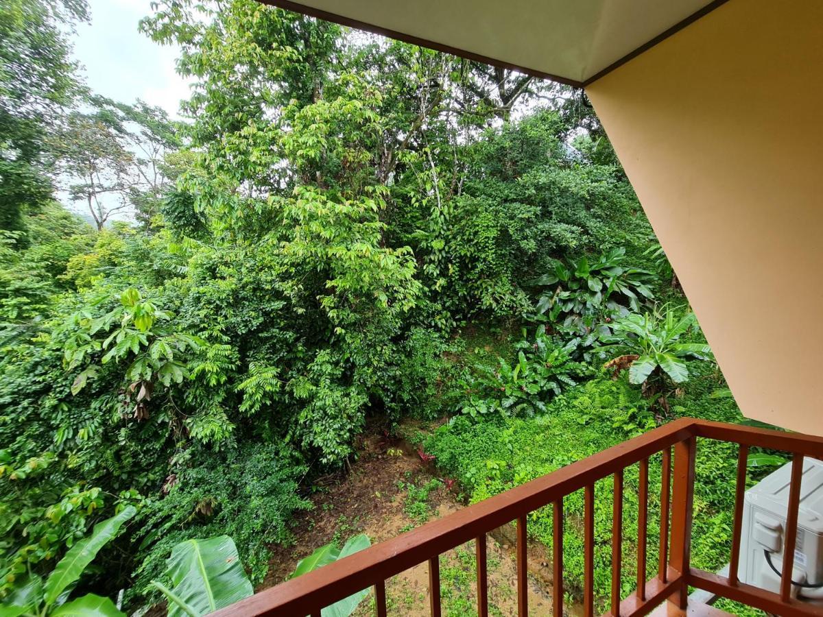 Ceiba Lodge Drake Bay Exterior photo